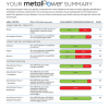 metalPower summary sample Report