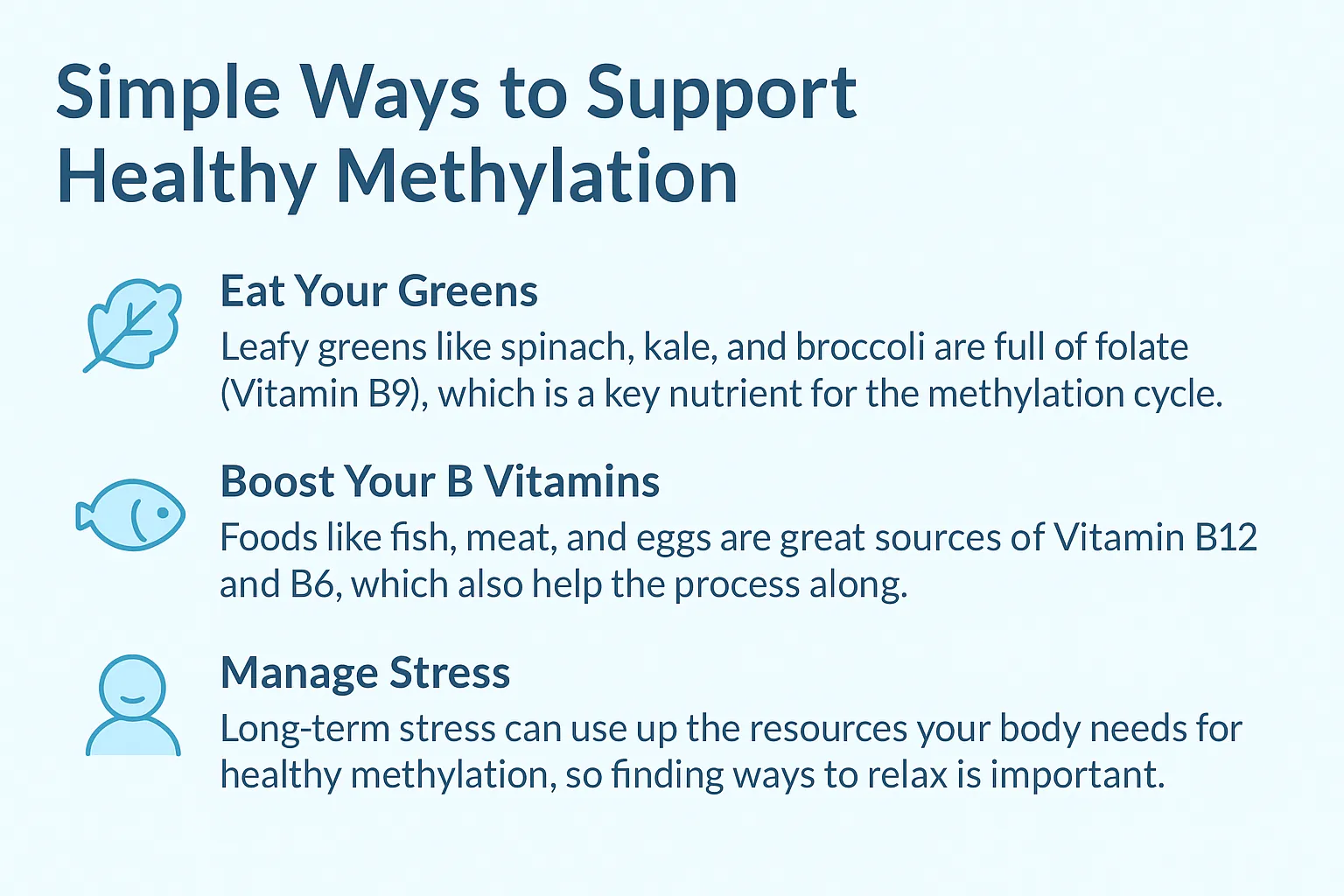 Simple Ways to Support Healthy Methylation