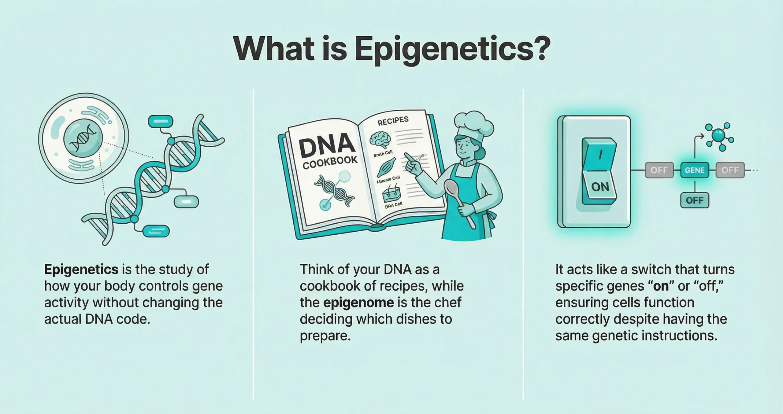 What is Epigenetics