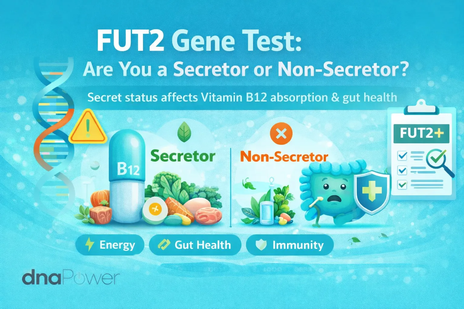 FUT2 Gene Test